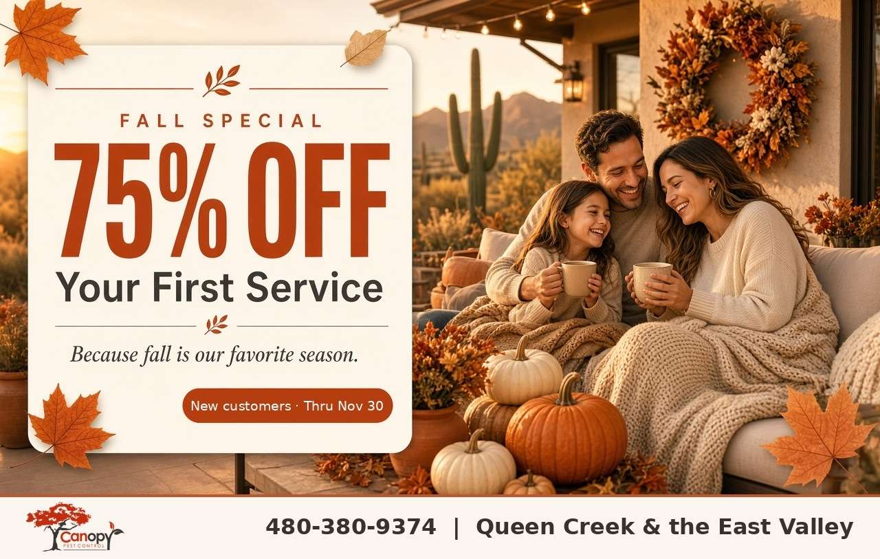 Fall Special: 75% off your first service, new customers, thru Nov 30. Call 480-380-9374